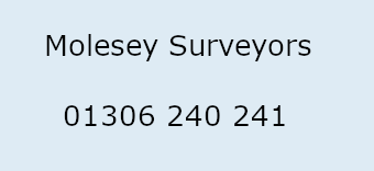 Molesey Surveyors Logo